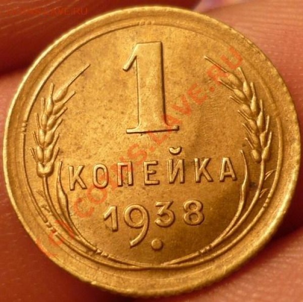 1к38 - P1020200.JPG