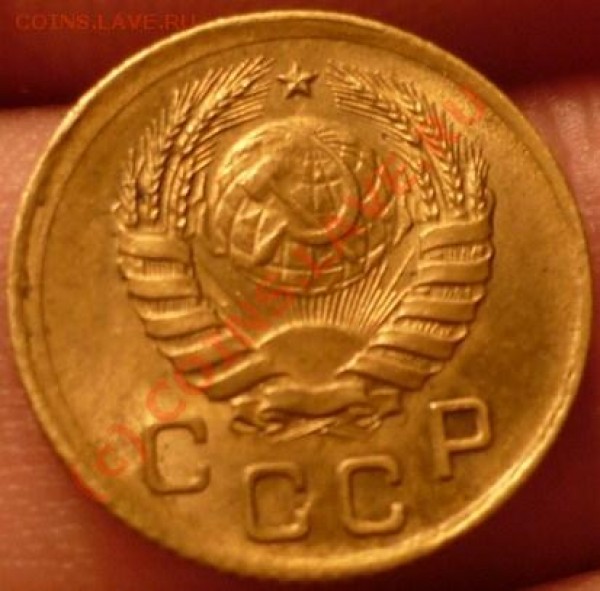 1к38 - P1020201.JPG