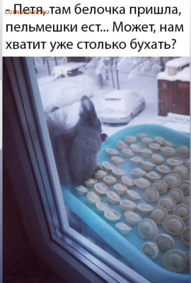 юмор - Screenshot_20230104-151245_Instagram
