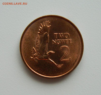 Замбия 2 нгве 1983 г.(Фауна) до 11.01.23 - DSCN5906.JPG
