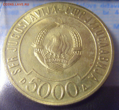 5000 динар 1989 неприсоединение царапины №2 11.01.23 22:00 М - CIMG8351.JPG