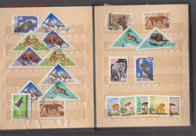 Кляссер +немного марок до 10 01 - 105а