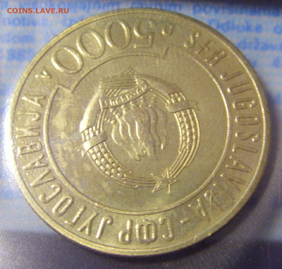 5000 динар 1989 неприсоединение пятнышки №3 11.01.23 22:00 М - CIMG8358.JPG