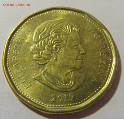 1 доллар 2019 Канада №1а 11.01.2023 22:00 МСК - CIMG5479.JPG