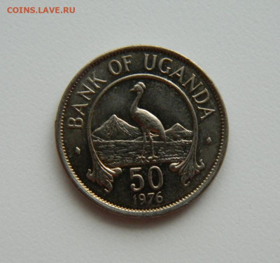 Уганда 50 центов 1976 г. (Фауна)  с рубля! до 11.01.23 - DSCN5836.JPG