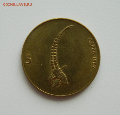 Словения 5 толаров 1992 г. (Фауна) С рубля! до 12.01.23 - DSCN5844.JPG