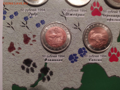 красная книга 15 монет  подлинность - 2022-11-21 06-46-21.JPG