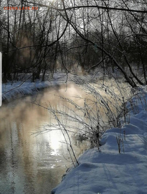 ФОТО - просто фото. Те что получились удачными. - Screenshot_20230107-122146_Telegram