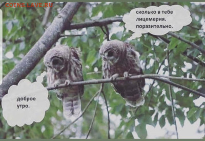 юмор - Screenshot_20230107-163334_Instagram