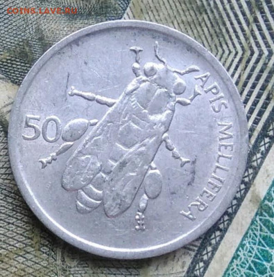 Словения 50 стотинов 1993 года  до 11.01.2023 - IMG_20230107_063123