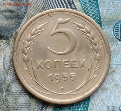 5 копеек 1955 года до 11.01.2023 - IMG_20230106_231545