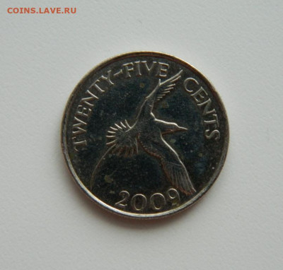 Бермудские острова 25 центов 2009г.(Фауна)С рубля! до 12.01. - DSCN5852.JPG