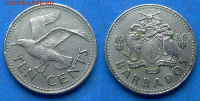 Барбадос - 10 центов 1980 года (Фауна) до 13.01 - Барбадос 10 центов, 1980