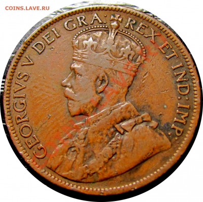 E95 1¢ Ньюфаундленд 1913 до 13.12 в 22°° - E95 NFLD 1C 1913_2