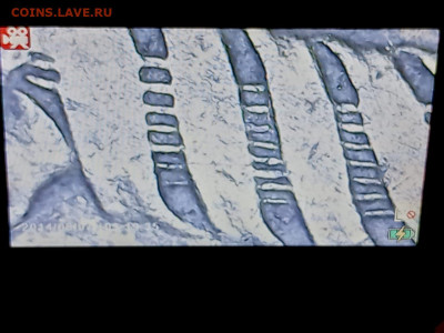 5 копеек шт. 2.2 1961. - IMG-20230108-WA0014