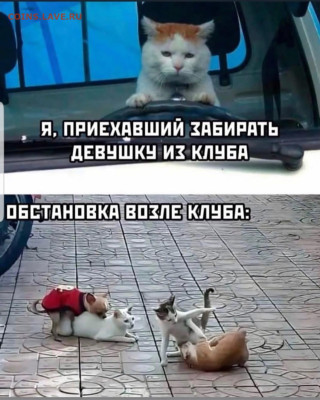 юмор - Screenshot_20230109-172946_Instagram