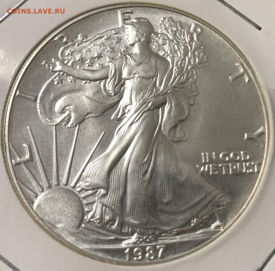 1$ США 1987г.Шагающая свобода,отличный сохран,до 12.01.23г. - B692C723-7BC6-4755-BD0C-94DA2A61320D