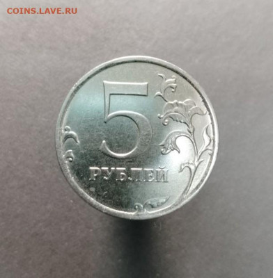 Помогите определить, это разновидность? - 1000003156