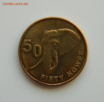 Замбия 50 нгве 2012 г. (Фауна) С рубля! до 16.01.23 - DSCN6065.JPG