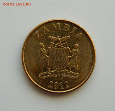 Замбия 50 нгве 2012 г. (Фауна) С рубля! до 16.01.23 - DSCN6066.JPG