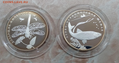 Россия-серебро (красная книга, выдающиеся спортсмены) - IMG_20230110_170342