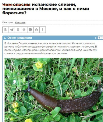 Ассоциация слов - M