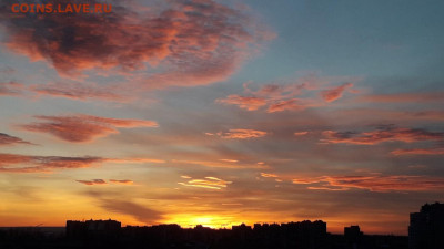 ФОТО - просто фото. Те что получились удачными. - Screenshot_20230113-090244_Gallery