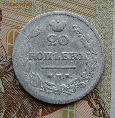 20 копеек 1826 г. СПБ НГ. Николай I. Орел с опущенными крыль - DSCN8901.JPG