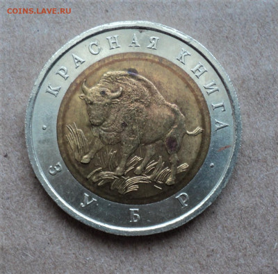 Красная книга 50 руб. 1994г. Зубр. до 20.01 - DSC04988.JPG