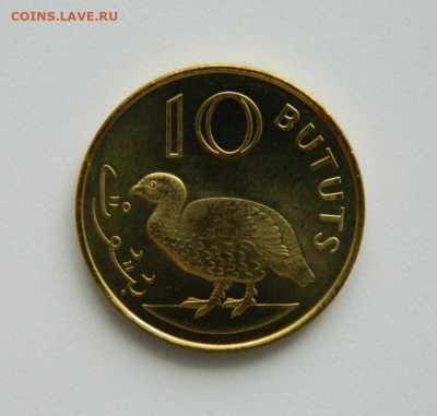 Гамбия 10 бутут 1998 г. (Фауна) С рубля! до 19.01.23 - DSCN6509.JPG