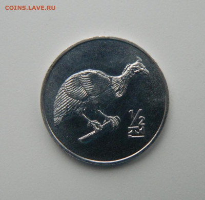2 чон 2002 г.(Юбил.)Фауна С рубля!до 19.01. - DSCN6377.JPG