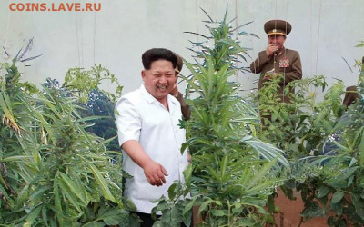 Международные новости - NK