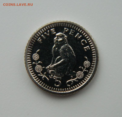 Гибралтар 5 пенсов 2003 г. (Фауна) С рубля!  до 23.01.23 - DSCN6553.JPG