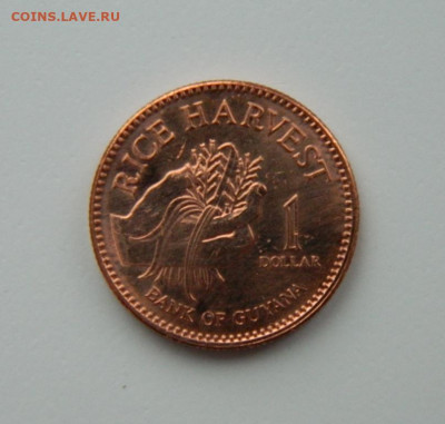 Гайана 1 доллар 2012 г. С рубля! до 23.01.23 - DSCN6551.JPG