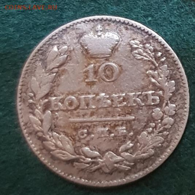  24.01.23, 22.00 - 10к1826(2)