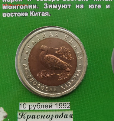 красная книга 15 монет  подлинность - 2023-01-17 12-21-15.JPG