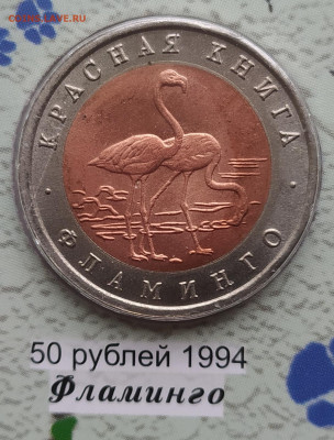 красная книга 15 монет  подлинность - 2023-01-17 12-24-25.JPG