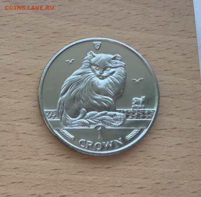 Крона Шайба Остров Мэн 1 крона 1995 Турецкая ангора кошка - krona_shajba_ostrov_men_1_krona_1995_tureckaja_angora_koshka_kot_fauna_zhivotnye
