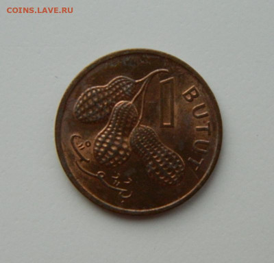 Гамбия 1 бутут 1971 г. С рубля! до 26.01.23 - DSCN6700.JPG