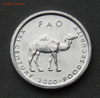 Сомали 10 шиллингов 2000  до 26.01 - DSCN1985.JPG