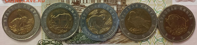 Комплект "Красная книга" в альбоме 1991-1994 (15 шт.) - 5