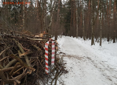 Кто-нибудь бегает? - Screenshot_20230122-143433_Gallery