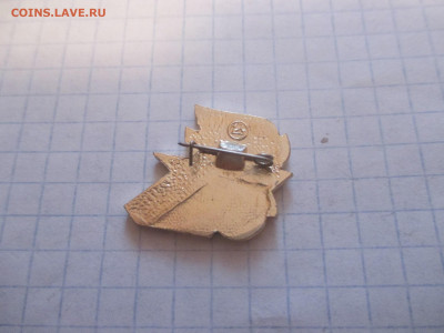 Значок . ДЮП . - IMG_0397.JPG