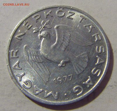 10 филлеров 1977 Венгрия №1 27.01.23 22:00 МСК - CIMG1955.JPG