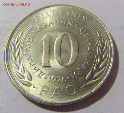 10 динар 1976 ФАО Югославия №1 28.01.23 22:00 МСК - CIMG2197.JPG