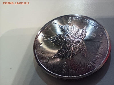 5$  Кленовый лист КАНАДА до 27.01. 22-00 - IMG-20230119-WA0011