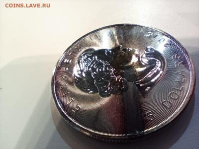 5$  Кленовый лист КАНАДА до 27.01. 22-00 - IMG-20230119-WA0009