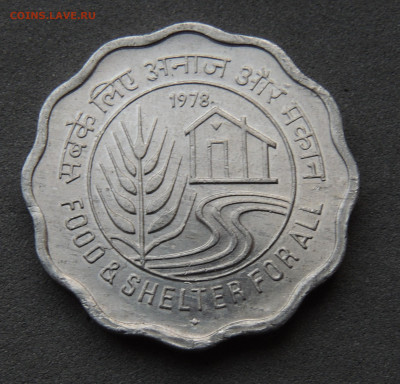01 - Индия_fao .JPG
