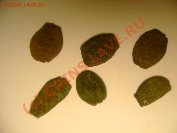 медная чешуя 6 шт. до 23,06,09 в 21-00 - DSC03113.JPG