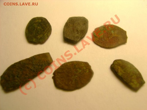 медная чешуя 6 шт. до 23,06,09 в 21-00 - DSC03119.JPG